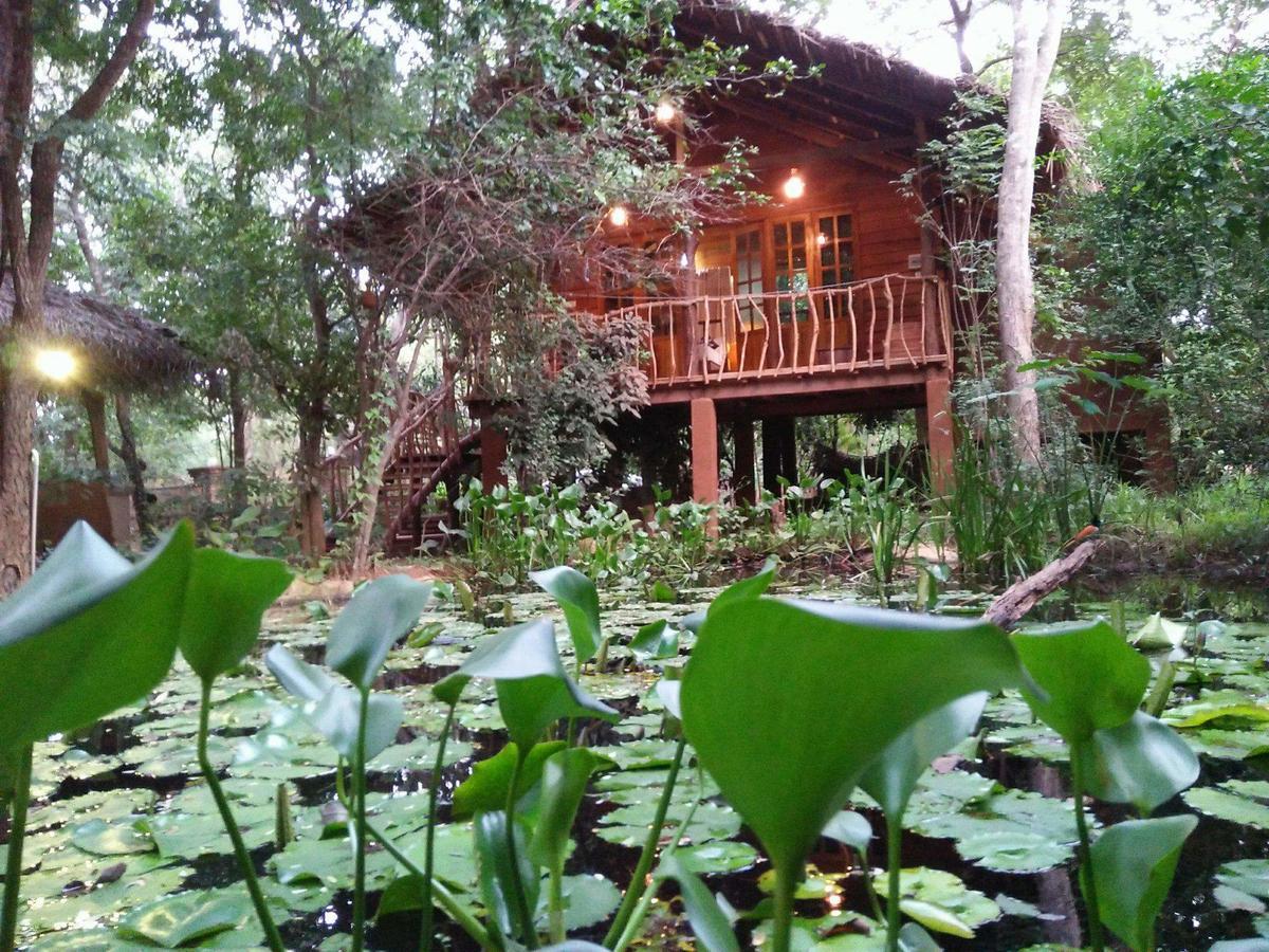 Habarana Tree House Mutu Village 외부 사진