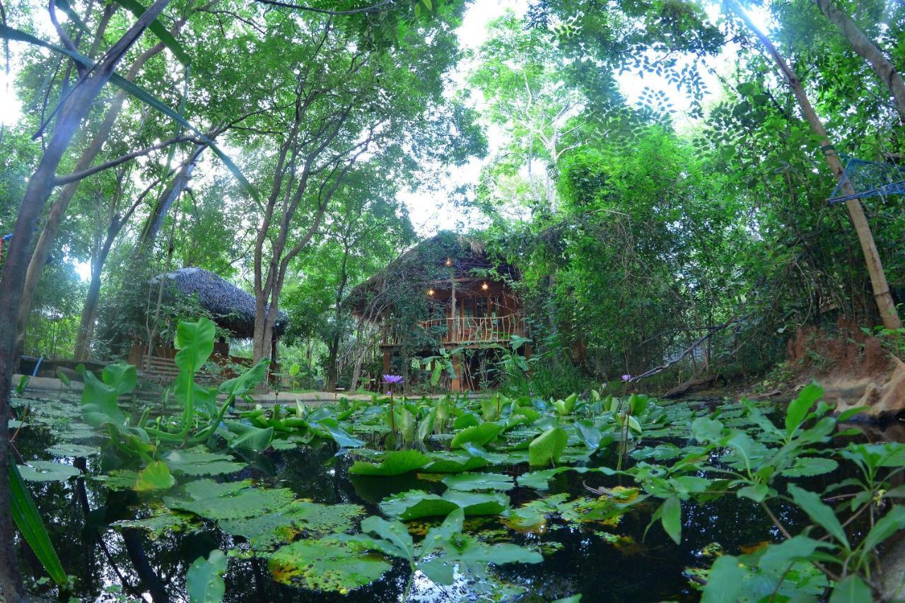 Habarana Tree House Mutu Village 외부 사진